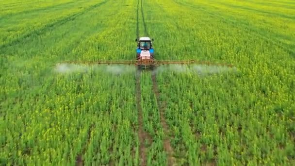 Luchtfoto van de trekker sproeit mest op landbouwgewassen op het koolzaadveld — Stockvideo