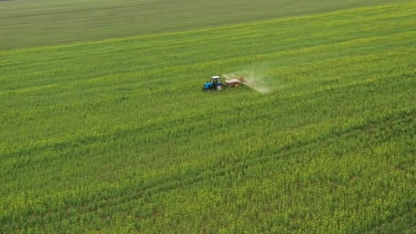 Traktör görüntüsü, kolza tarlasındaki tarımsal bitkilere gübre püskürtüyor. — Stok video