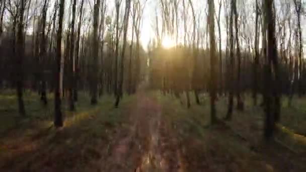 Vol de drone FPV rapide et manœuvrable à travers une forêt d'automne au coucher du soleil — Video