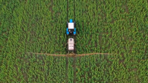 菜種畑の農業植物におけるトラクタースプレー肥料のトップビュー — ストック動画