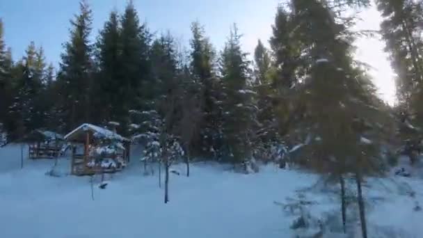 2 in 1 video. Aerial view of the spruce and snowy landscape around. Between the trees are gazebos for relaxation. FPV drone shot — Stock Video
