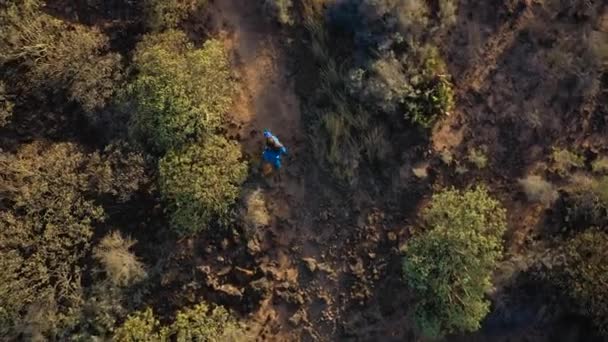 Top kilátás nő egy gyönyörű kék ruha sétál végig a természetvédelmi terület. Tenerife, Kanári-szigetek, Spanyolország — Stock videók