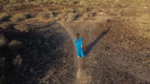 Vista aérea de la mujer en un hermoso vestido azul caminando a través de la reserva natural. Tenerife, Islas Canarias, España — Vídeos de Stock