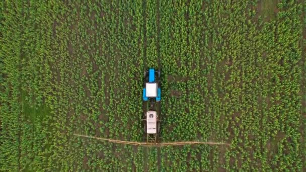Bovenaanzicht van trekker sproeit mest op landbouwgewassen op het koolzaadveld — Stockvideo