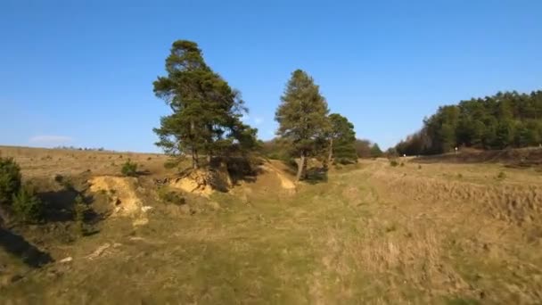 Drone FPV voa rapidamente e manobrável em torno de árvores e prados em um dia ensolarado de primavera — Vídeo de Stock