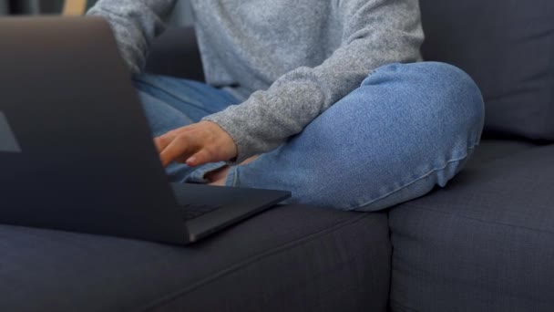 Kvinnan sitter på en mysig soffa och arbetar på en bärbar dator. Begreppet distansarbete. — Stockvideo