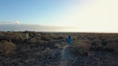 Güzel mavi elbiseli bir kadının hava manzarası gün batımında doğa koruma alanında yürüyor. Atlantik Okyanusu uzaktan görülebilir. Tenerife, Kanarya Adaları, İspanya