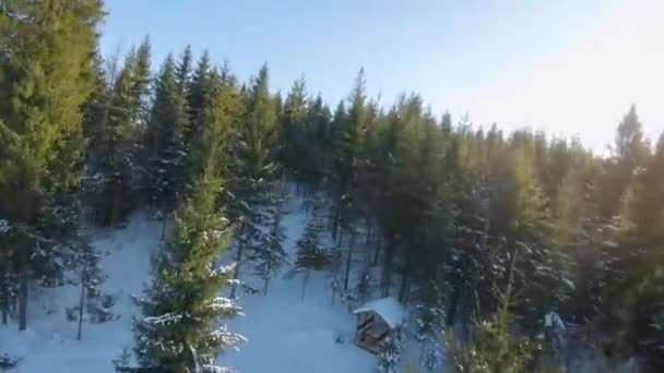 Vue aérienne du paysage d'épinette et de neige autour. Entre les arbres se trouvent des belvédères pour la détente. FPV tir de drone — Video