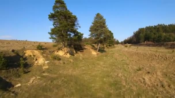 FPV drone vliegt snel en wendbaar rond bomen en weiden op een zonnige lentedag — Stockvideo