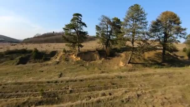 FPV-drönaren flyger snabbt och smidigt runt träd och ängar en solig vårdag — Stockvideo