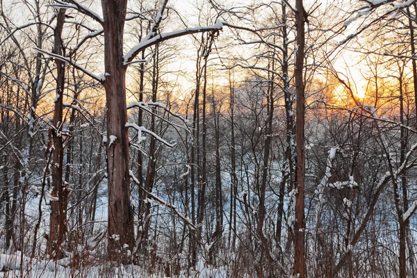 Красивый зимний закат — стоковое фото