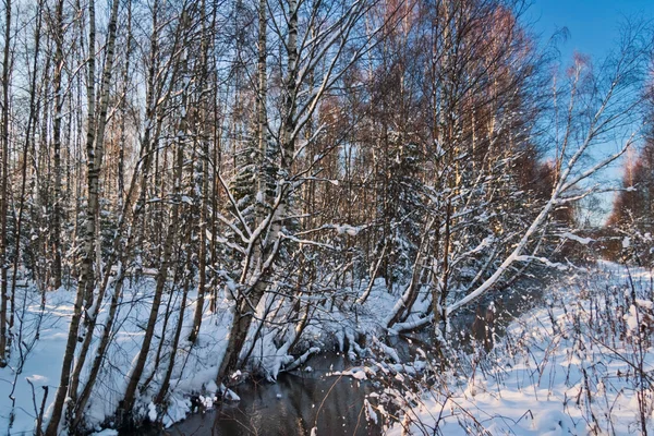 Rivier winterlandschap — Stockfoto