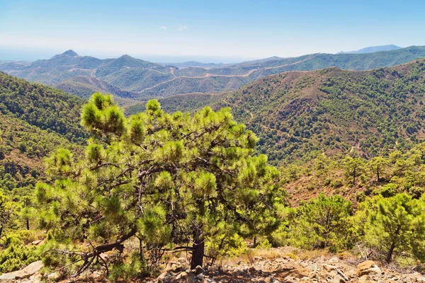 Vista sul paesaggio andaluso — Foto Stock