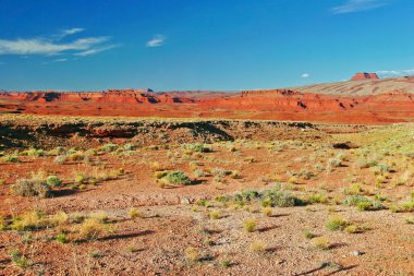 arizona devlet çölde peyzaj