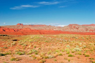arizona devlet çölde peyzaj