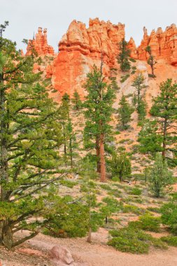 bryce canyon insise görüntülemek.
