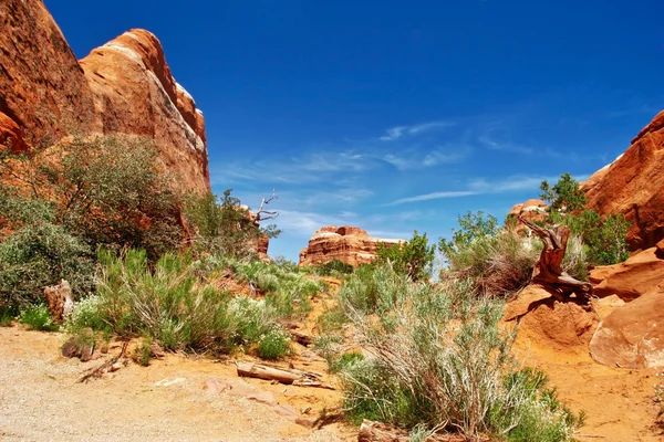 Dia ensolarado em Arches Canyon — Fotografia de Stock