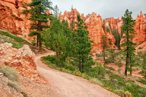 Kilátás a bryce canyon ragaszkodik. — Stock Fotó