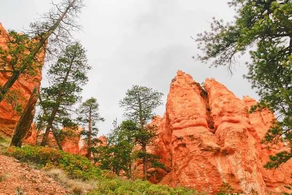 Kilátás a bryce canyon ragaszkodik. — Stock Fotó