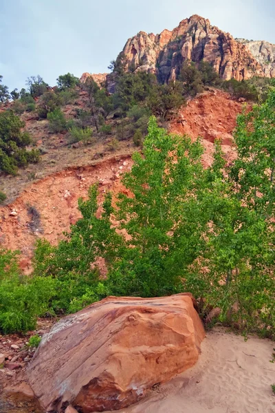 Zion canyon yamaçları. Utah. ABD. — Stok fotoğraf