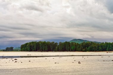 karanlık gökyüzü altında tropik sahil