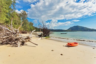 tropik sahilde Kano Kayık
