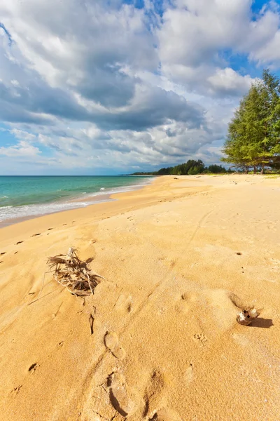 Spiaggia tropicale esotica. — Foto Stock