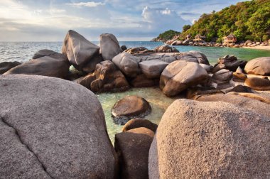 Egzotik tropikal plaj.