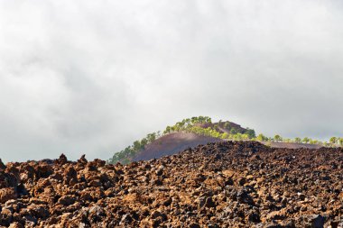 Bulutlar ve sis kaplı dağları ile manzara 