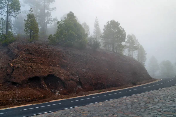 Estrada da montanha no nevoeiro — Fotografia de Stock