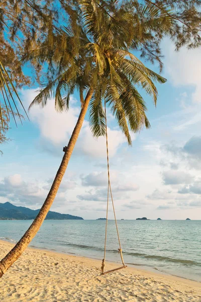 Gungor och palm på den tropiska stranden. — Stockfoto