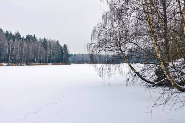 Vista paisagem inverno — Fotografia de Stock