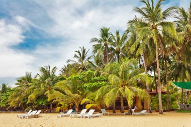 Egzotik tropikal plaj.