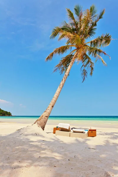 Spiaggia tropicale esotica. — Foto Stock