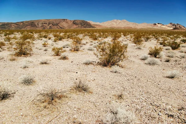Paisagem sem vida do Vale da Morte — Fotografia de Stock