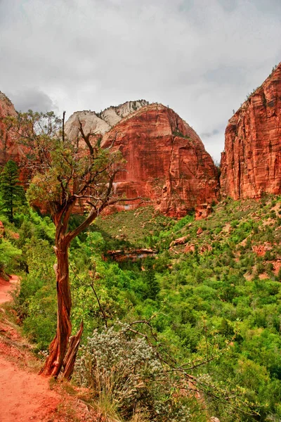 Parque nacional de Zion — Foto de Stock