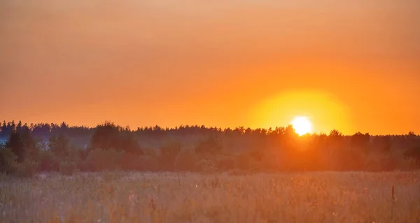 Neblige Landschaft bei Sonnenuntergang — Stockfoto