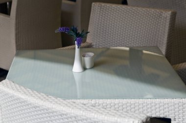 Beyaz bir vazo içinde Lila çiçek 