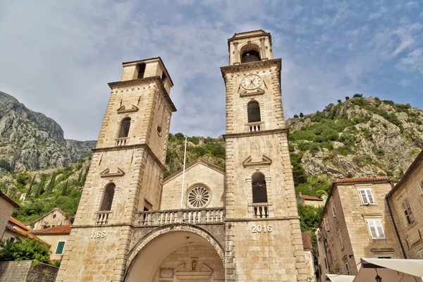 Kathedrale des heiligen tryphon in kotor — Stockfoto