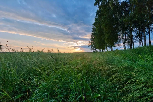 Západ slunce v létě pole — Stock fotografie