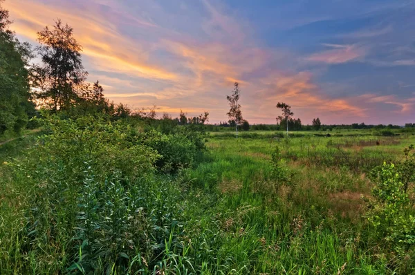 Pôr do sol no campo de verão — Fotografia de Stock