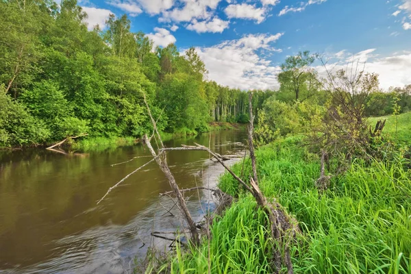 Літнє поле з річкою — стокове фото