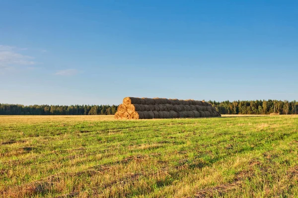 Bales of straw — Stock Photo, Image