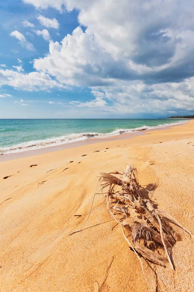 Exotisch tropisch strand. — Stockfoto