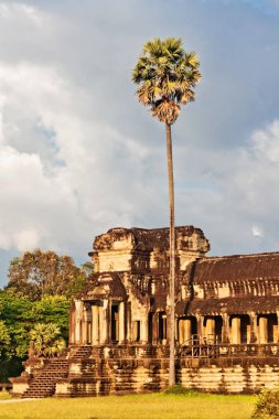 Angkor wat Tapınağı günbatımı ışığı 