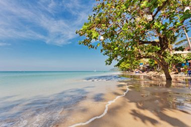 Egzotik tropikal plaj.