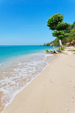 Egzotik tropikal plaj.