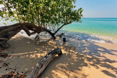 Egzotik tropikal plaj.