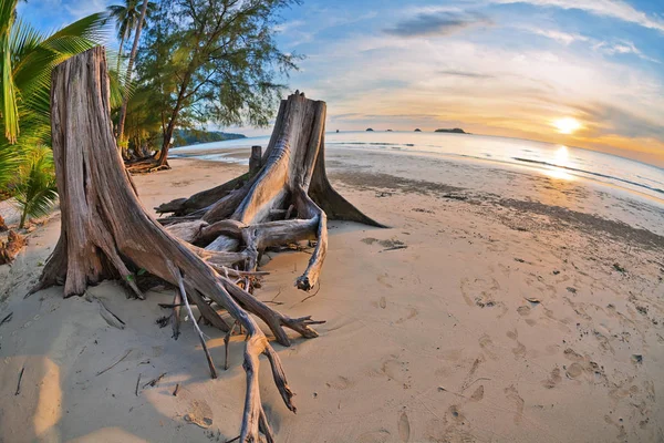 Tropikalna plaża o zachodzie słońca. — Zdjęcie stockowe