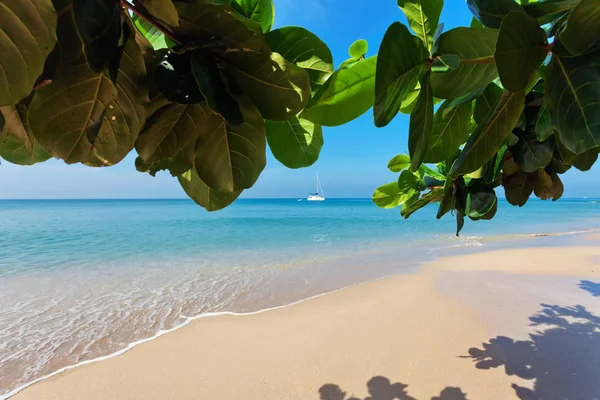 Egzotik tropikal plaj.